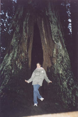 Dr. Tatiana Gorelik in Redwood Forest